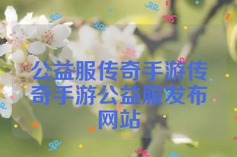 公益服传奇手游传奇手游公益服发布网站