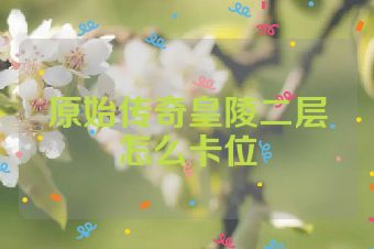原始传奇皇陵二层怎么卡位