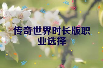 传奇世界时长版职业选择