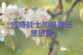 传奇战士加准确还是敏捷