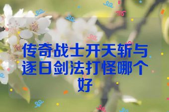 传奇战士开天斩与逐日剑法打怪哪个好