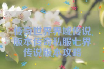 传奇世界界域传说版本传奇私服七界传说版本攻略