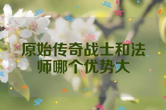 原始传奇战士和法师哪个优势大