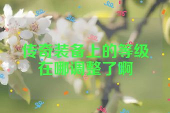 传奇装备上的等级在哪调整了啊