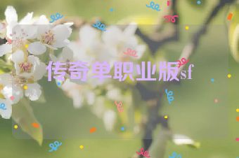 传奇单职业版sf