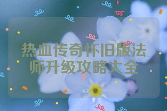热血传奇怀旧版法师升级攻略大全