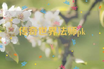 传奇世界法师pk