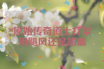 原始传奇道士打架用飓风还是嗜血