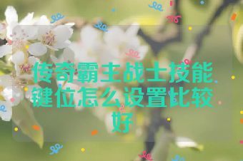 传奇霸主战士技能键位怎么设置比较好