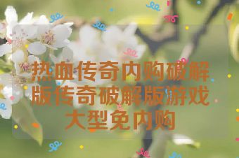 热血传奇内购破解版传奇破解版游戏大型免内购