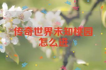 传奇世界未知桃园怎么进