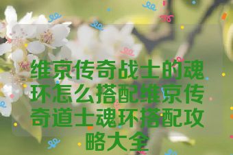 维京传奇战士的魂环怎么搭配维京传奇道士魂环搭配攻略大全