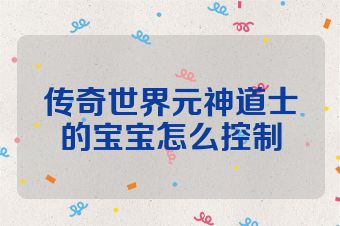 传奇世界元神道士的宝宝怎么控制