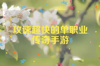 攻速超快的单职业传奇手游