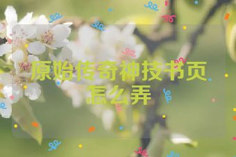 原始传奇神技书页怎么弄