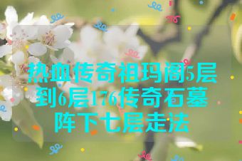 热血传奇祖玛阁5层到6层176传奇石墓阵下七层走法