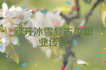 新开冰雪复古单职业传奇