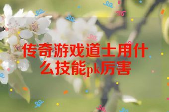 传奇游戏道士用什么技能pk厉害