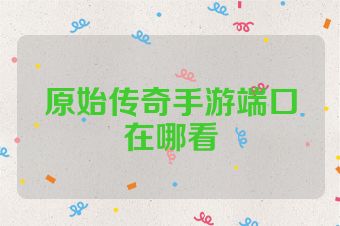 原始传奇手游端口在哪看