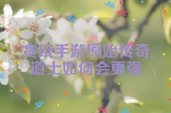 贪玩手游原始传奇道士如何会更强
