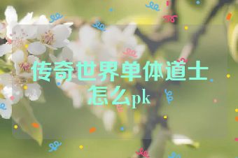 传奇世界单体道士怎么pk