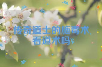 传奇道士的施毒术看道术吗