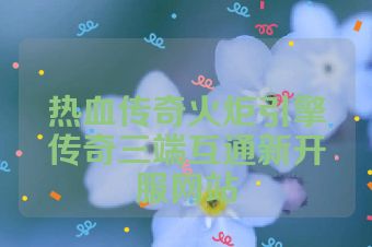热血传奇火炬引擎传奇三端互通新开服网站
