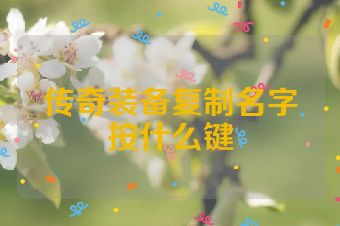 传奇装备复制名字按什么键