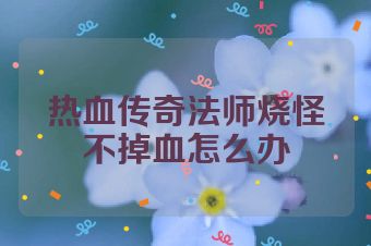 热血传奇法师烧怪不掉血怎么办