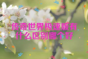 传奇世界极速版有什么区别哪个好