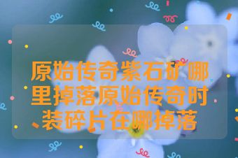 原始传奇紫石矿哪里掉落原始传奇时装碎片在哪掉落