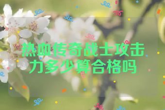 热血传奇战士攻击力多少算合格吗