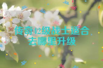 传奇42级战士适合去哪里升级