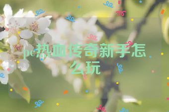 pc热血传奇新手怎么玩