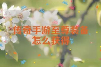传奇手游至尊装备怎么获得