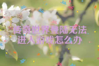 传奇世界登陆无法进入游戏怎么办