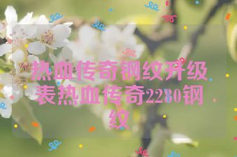 热血传奇钢纹升级表热血传奇2280钢纹