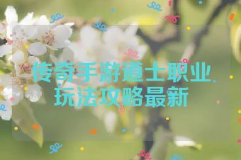 传奇手游道士职业玩法攻略最新