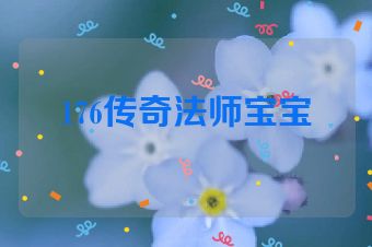 176传奇法师宝宝
