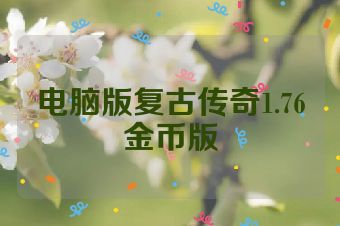 电脑版复古传奇1.76金币版