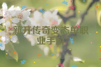 新开传奇变态单职业手游