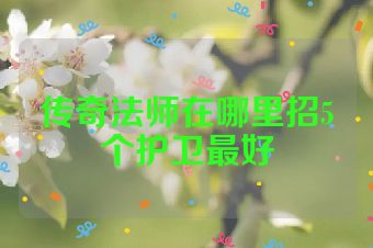 传奇法师在哪里招5个护卫最好
