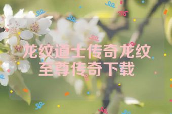 龙纹道士传奇龙纹至尊传奇下载