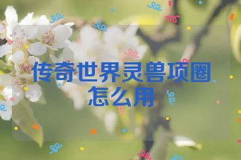 传奇世界灵兽项圈怎么用