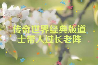 传奇世界经典版道士带人过长老阵