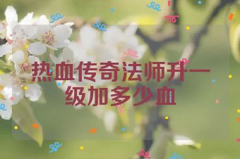 热血传奇法师升一级加多少血