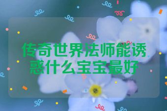 传奇世界法师能诱惑什么宝宝最好