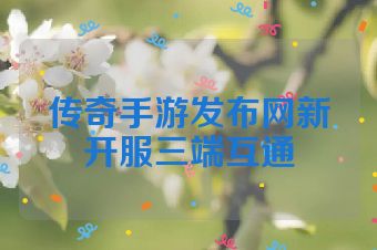 传奇手游发布网新开服三端互通