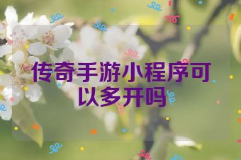 传奇手游小程序可以多开吗