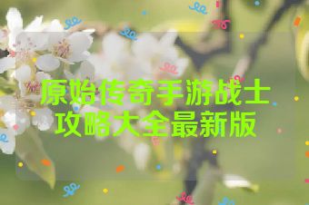 原始传奇手游战士攻略大全最新版